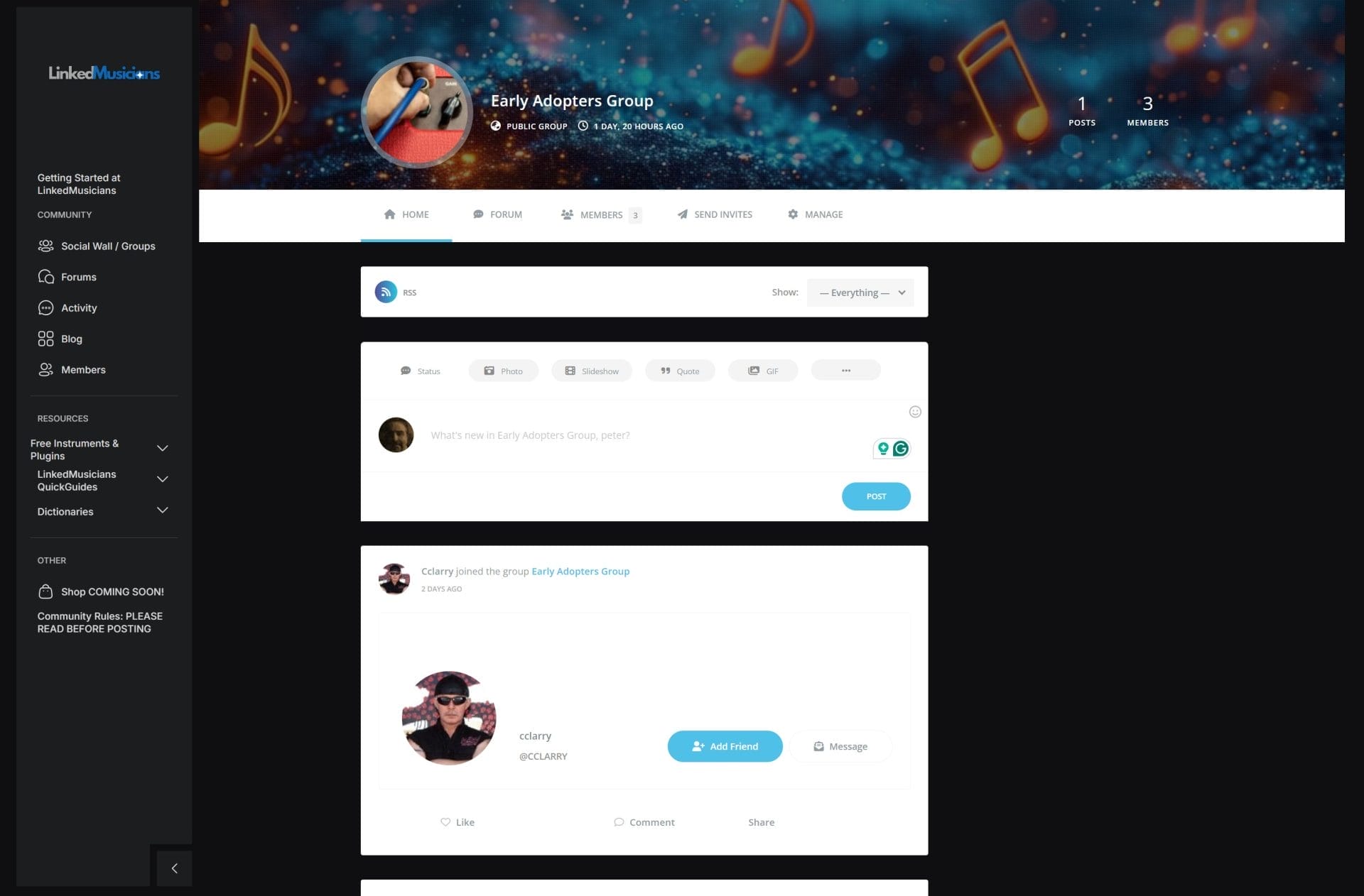 LinkedMusicians Friend Request